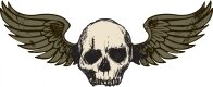 ASM Flying Skull
